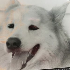 Meet your Posher, Trina